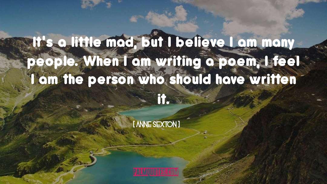 Anne Sexton Quotes: It's a little mad, but