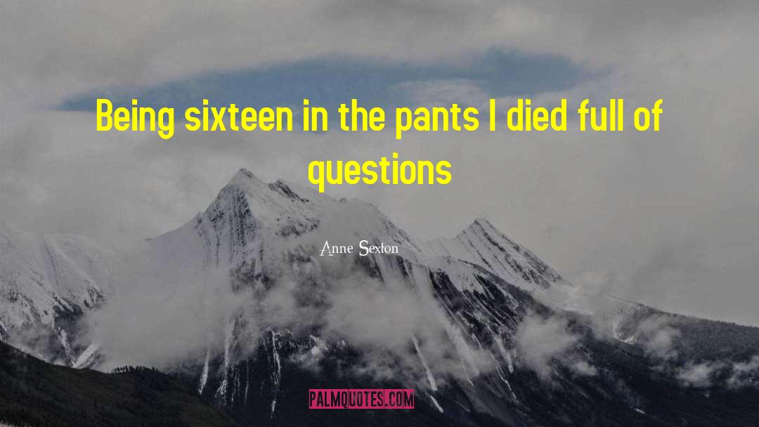 Anne Sexton Quotes: Being sixteen in the pants