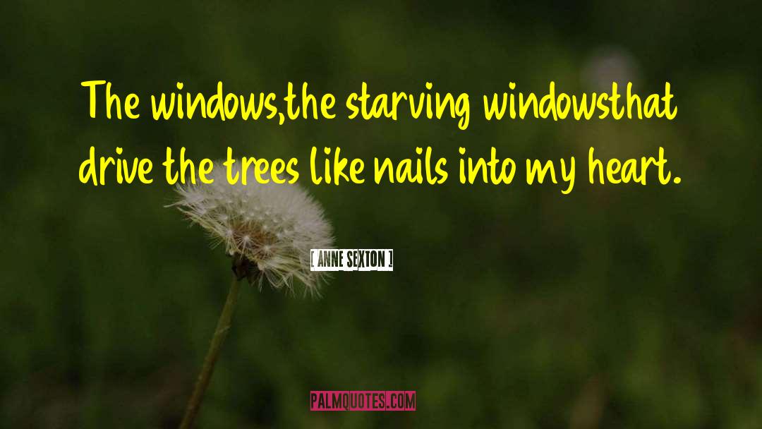 Anne Sexton Quotes: The windows,<br>the starving windows<br>that drive