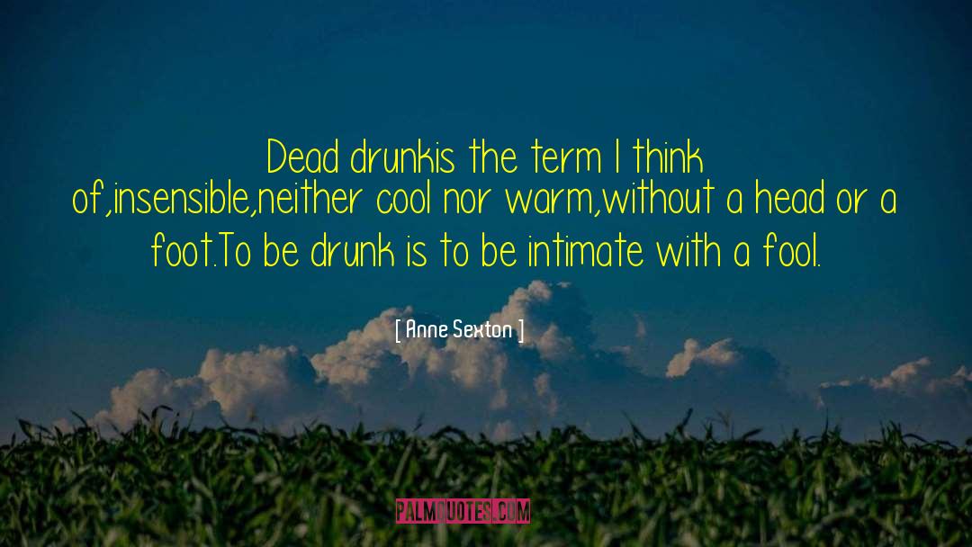 Anne Sexton Quotes: Dead drunk<br>is the term I