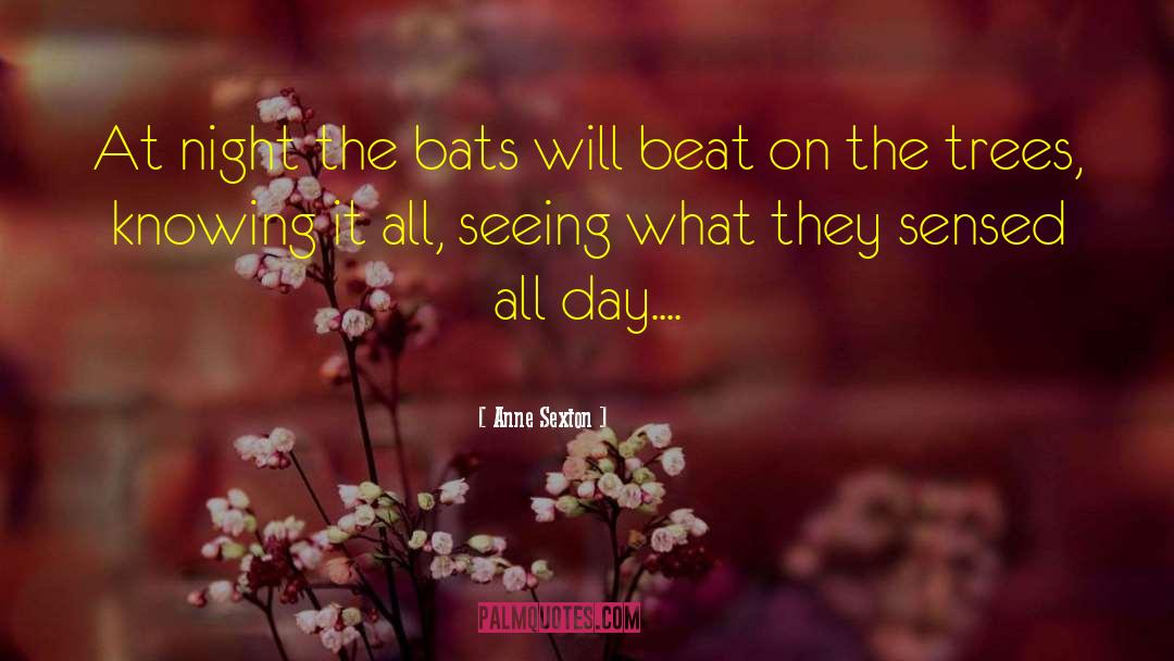 Anne Sexton Quotes: At night the bats will