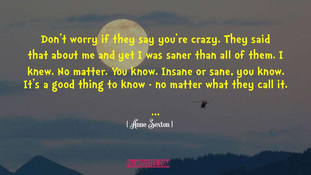 Anne Sexton Quotes: Don't worry if they say