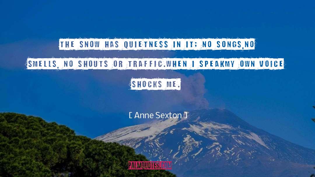 Anne Sexton Quotes: The snow has quietness in