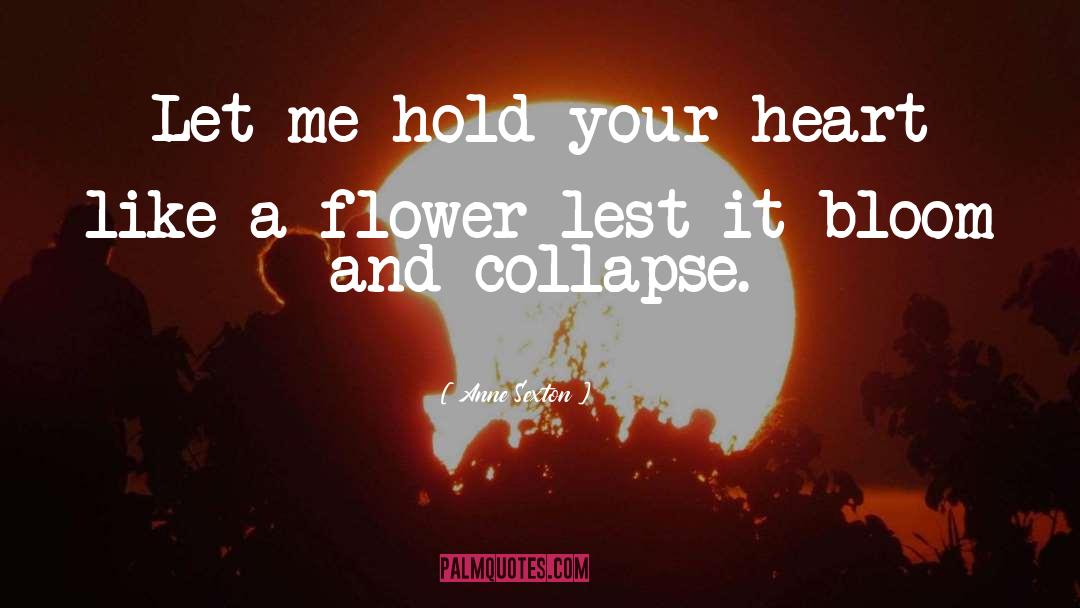 Anne Sexton Quotes: Let me hold your heart