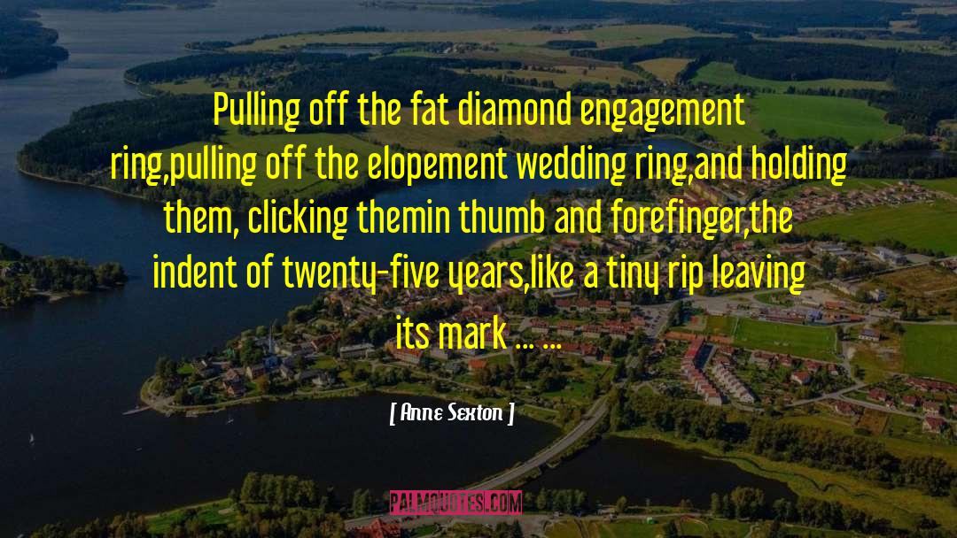 Anne Sexton Quotes: Pulling off the fat diamond