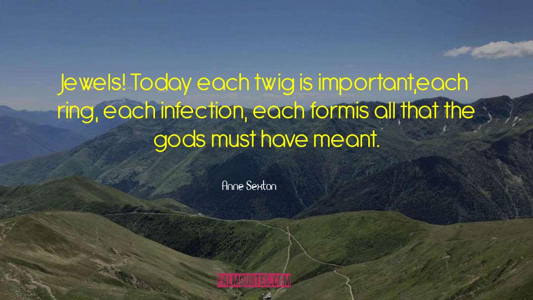 Anne Sexton Quotes: Jewels! Today each twig is