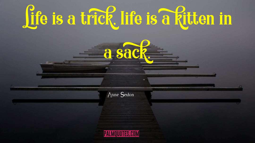 Anne Sexton Quotes: Life is a trick, life