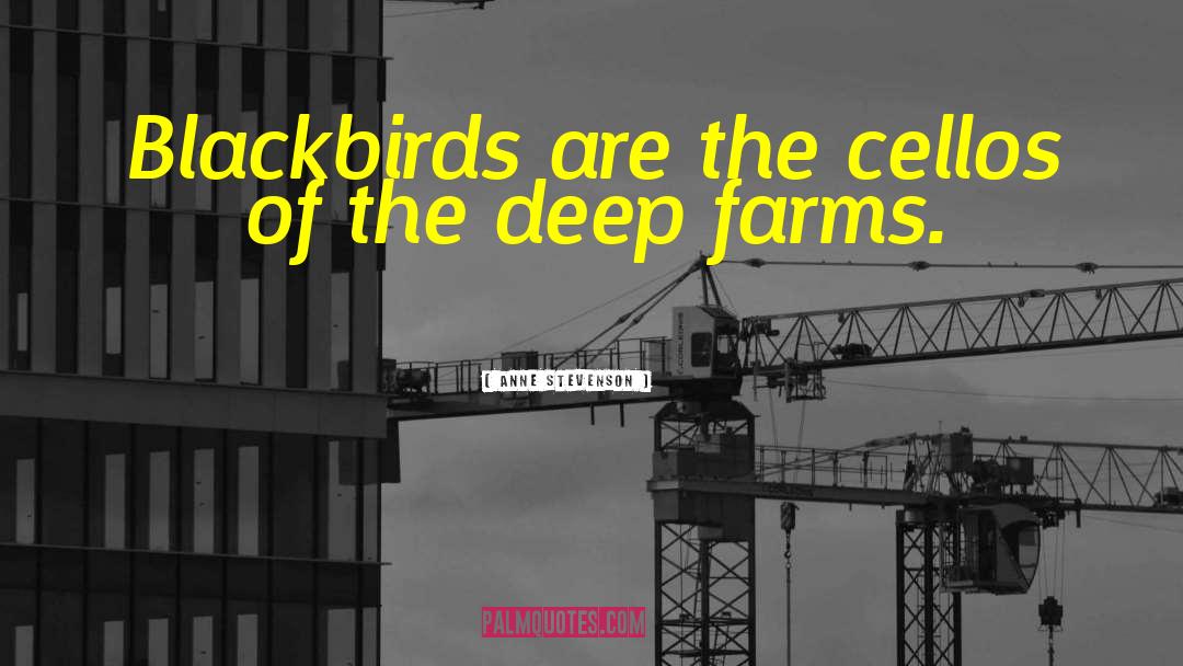 Anne Stevenson Quotes: Blackbirds are the cellos of
