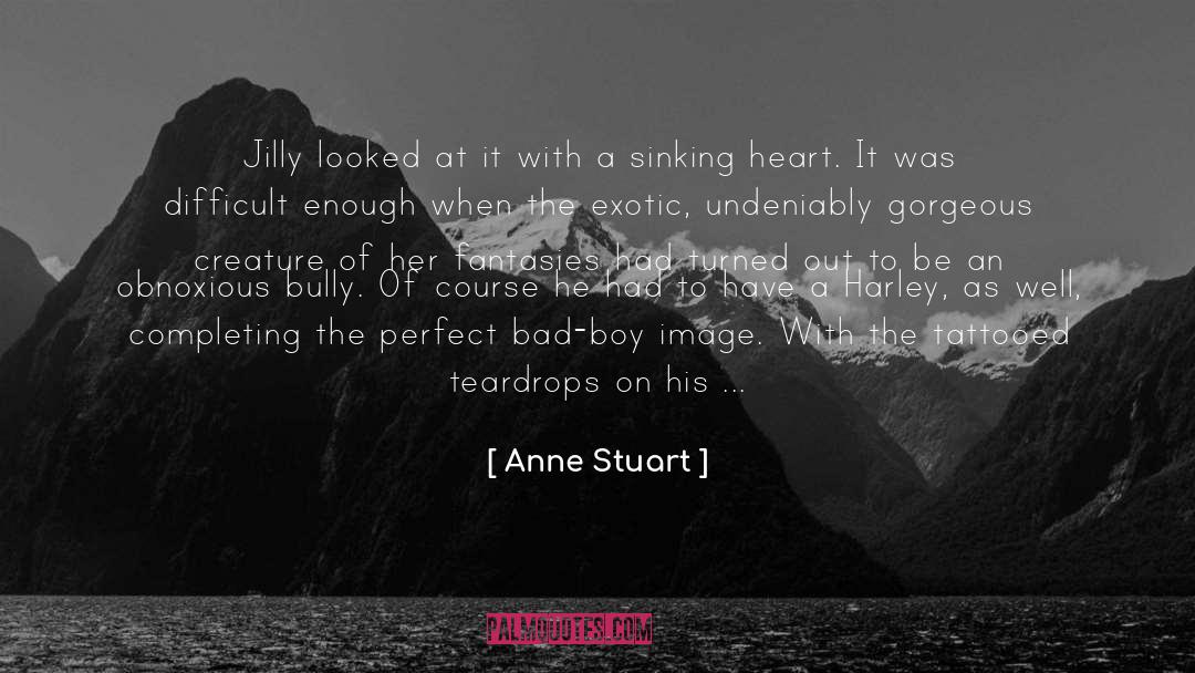 Anne Stuart Quotes: Jilly looked at it with