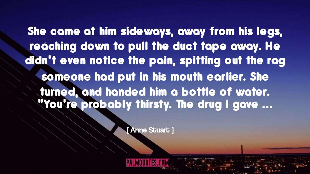 Anne Stuart Quotes: She came at him sideways,