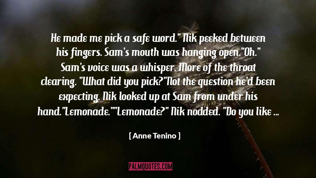 Anne Tenino Quotes: He made me pick a