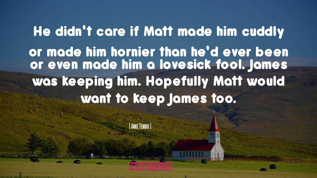 Anne Tenino Quotes: He didn't care if Matt