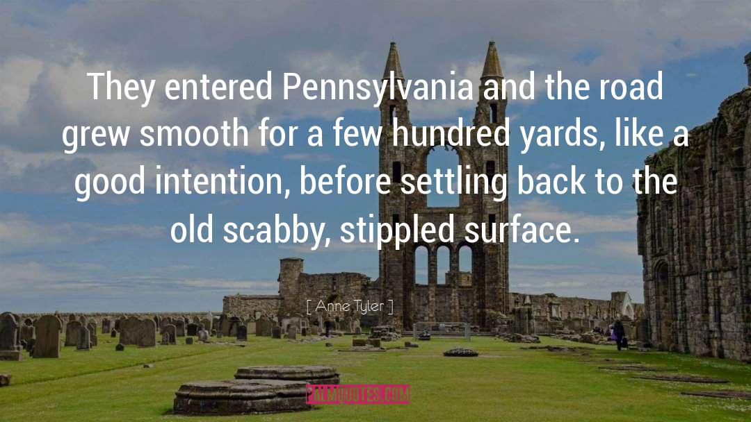 Anne Tyler Quotes: They entered Pennsylvania and the
