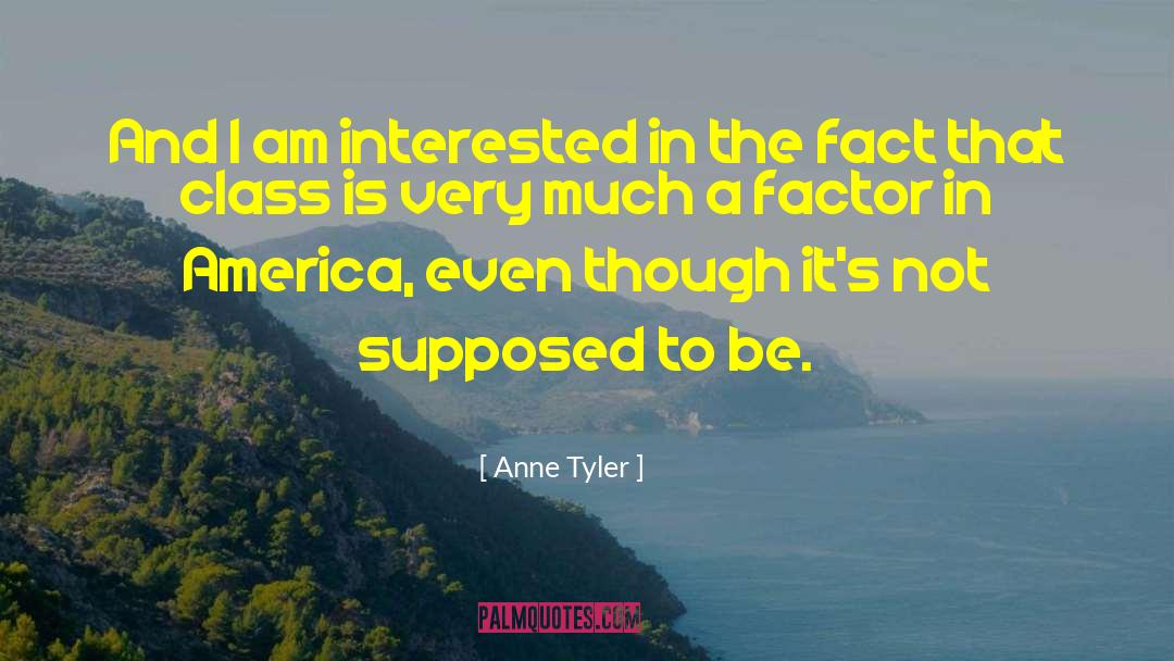 Anne Tyler Quotes: And I am interested in