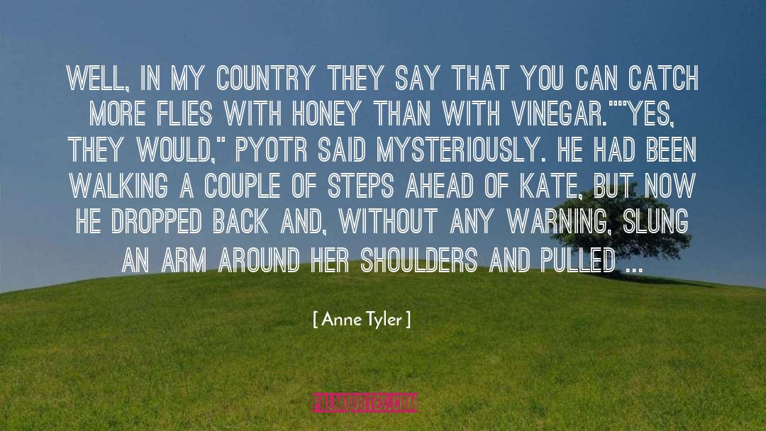 Anne Tyler Quotes: Well, in my country they