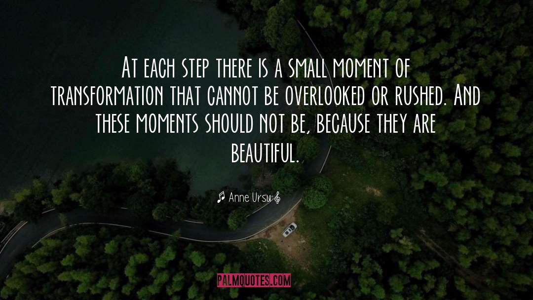 Anne Ursu Quotes: At each step there is