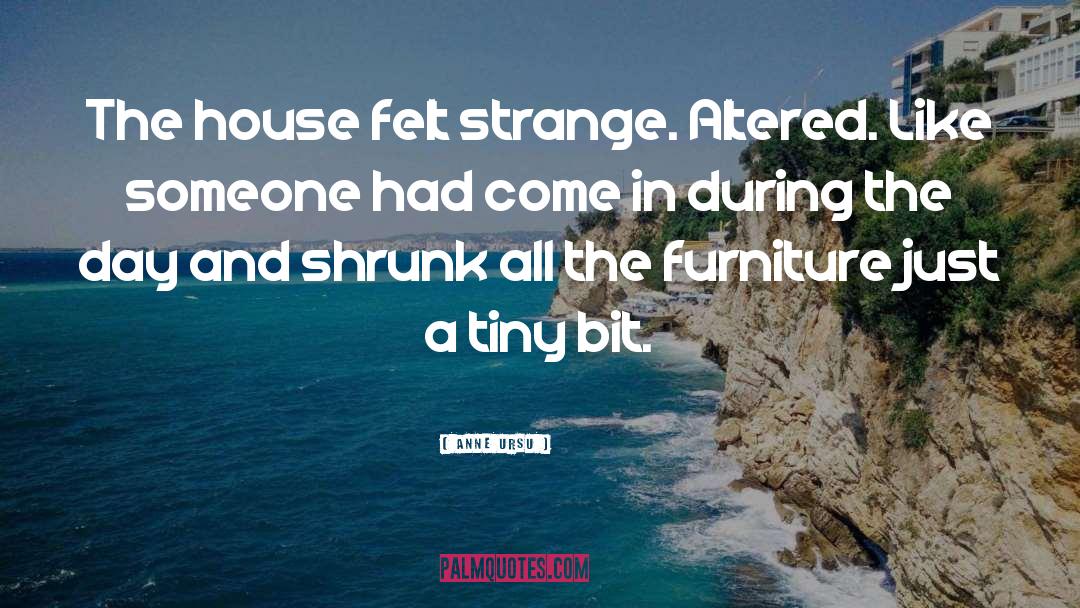 Anne Ursu Quotes: The house felt strange. Altered.