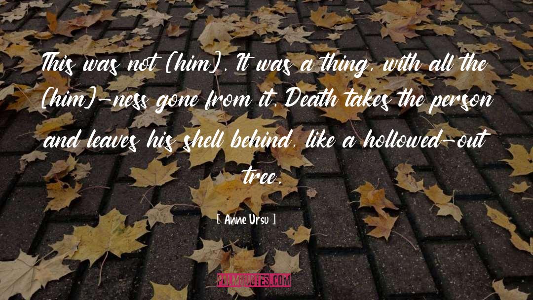 Anne Ursu Quotes: This was not [him]. It