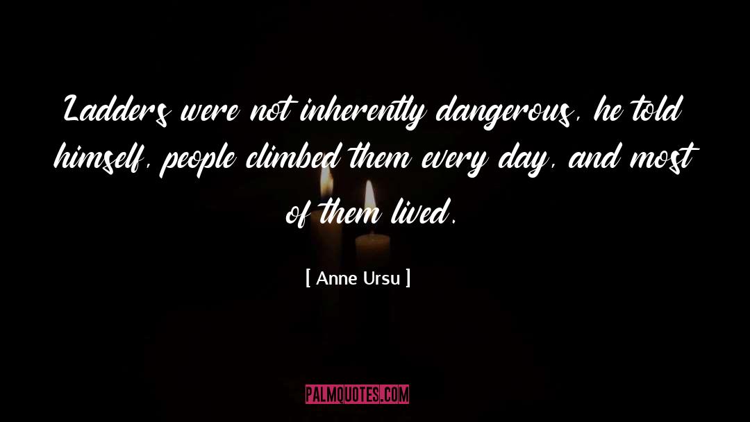 Anne Ursu Quotes: Ladders were not inherently dangerous,