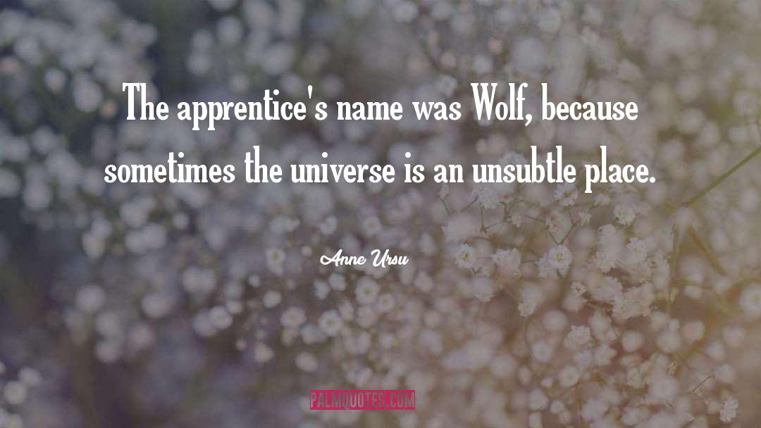 Anne Ursu Quotes: The apprentice's name was Wolf,