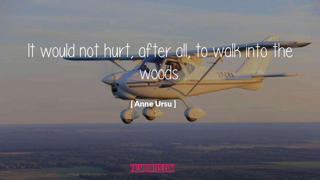 Anne Ursu Quotes: It would not hurt, after