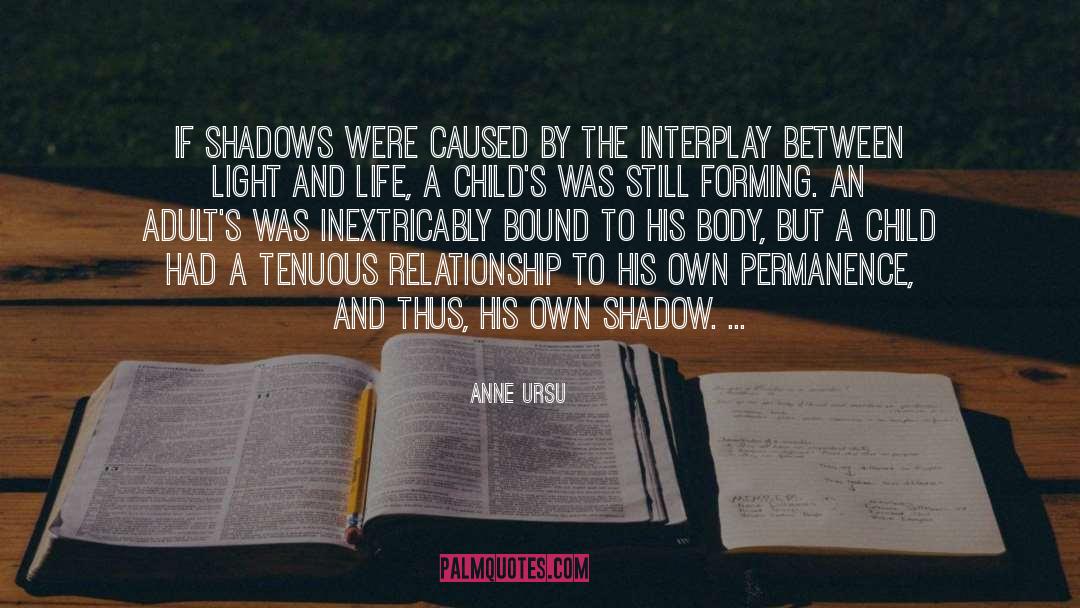 Anne Ursu Quotes: If shadows were caused by