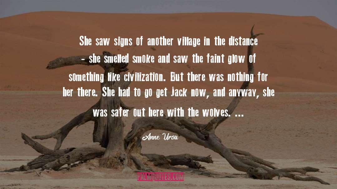 Anne Ursu Quotes: She saw signs of another