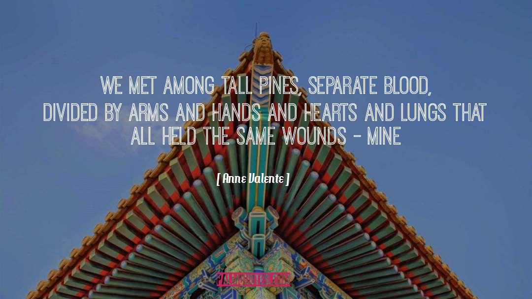 Anne Valente Quotes: We met among tall pines,