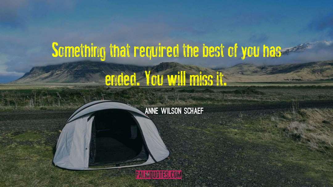 Anne Wilson Schaef Quotes: Something that required the best