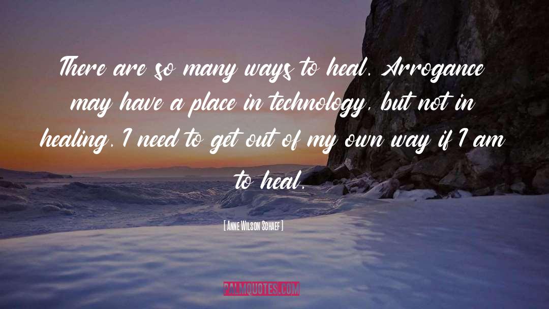 Anne Wilson Schaef Quotes: There are so many ways