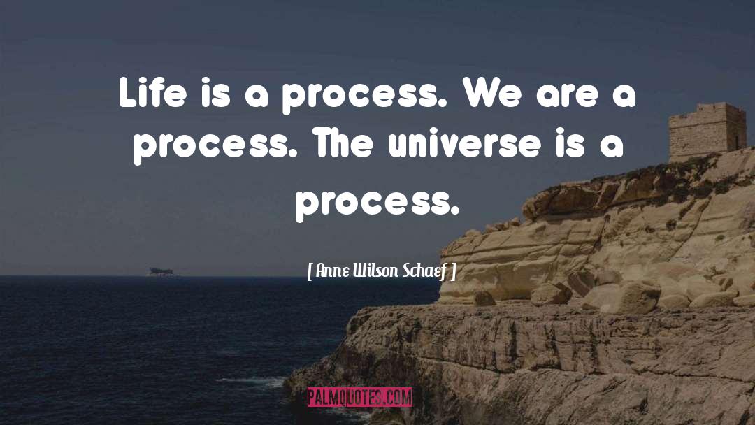 Anne Wilson Schaef Quotes: Life is a process. We