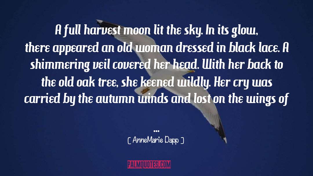 AnneMarie Dapp Quotes: A full harvest moon lit