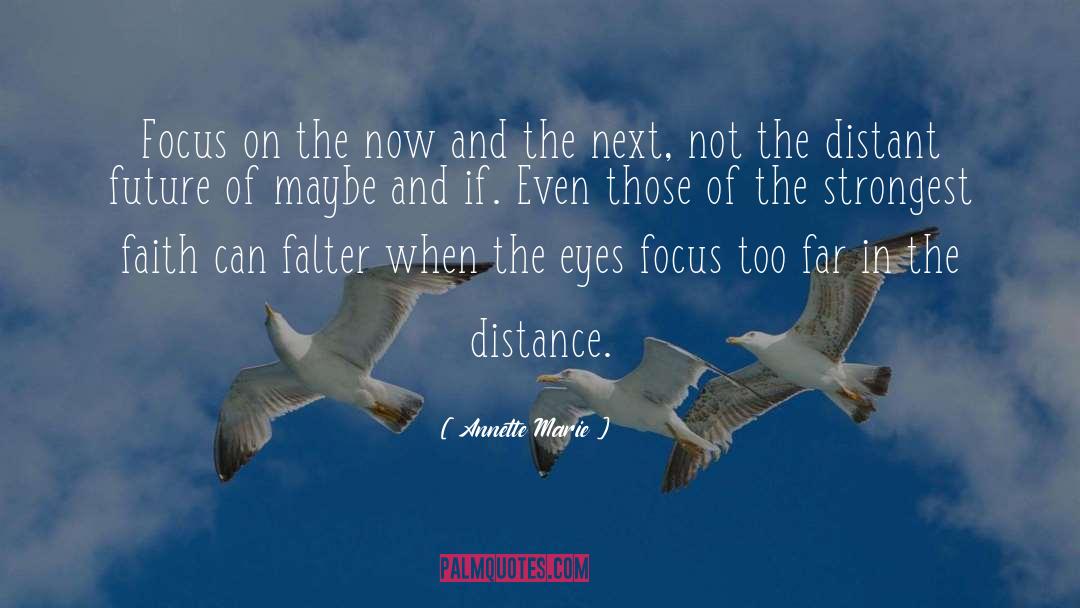 Annette Marie Quotes: Focus on the now and