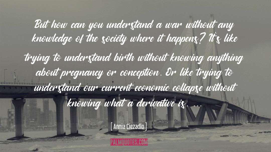 Annia Ciezadlo Quotes: But how can you understand