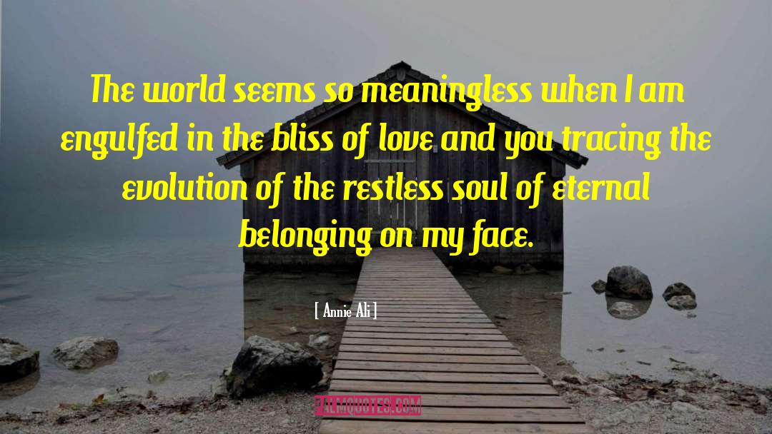 Annie Ali Quotes: The world seems so meaningless