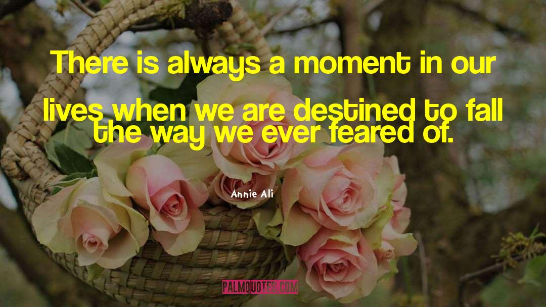 Annie Ali Quotes: There is always a moment