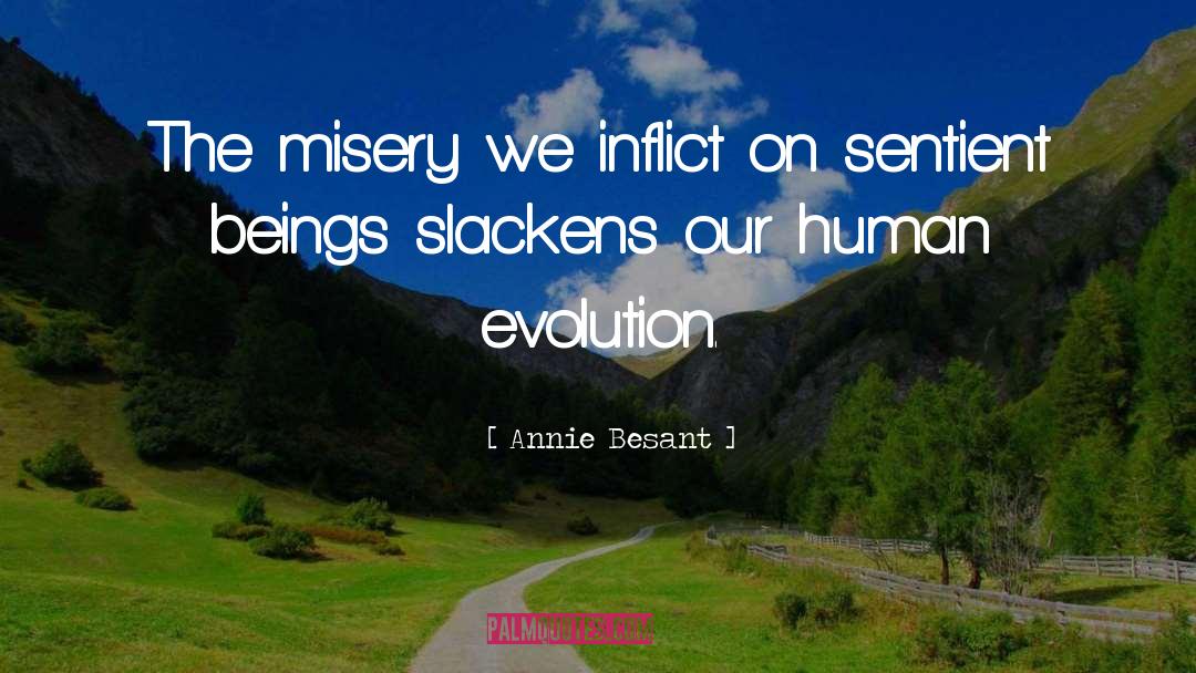 Annie Besant Quotes: The misery we inflict on