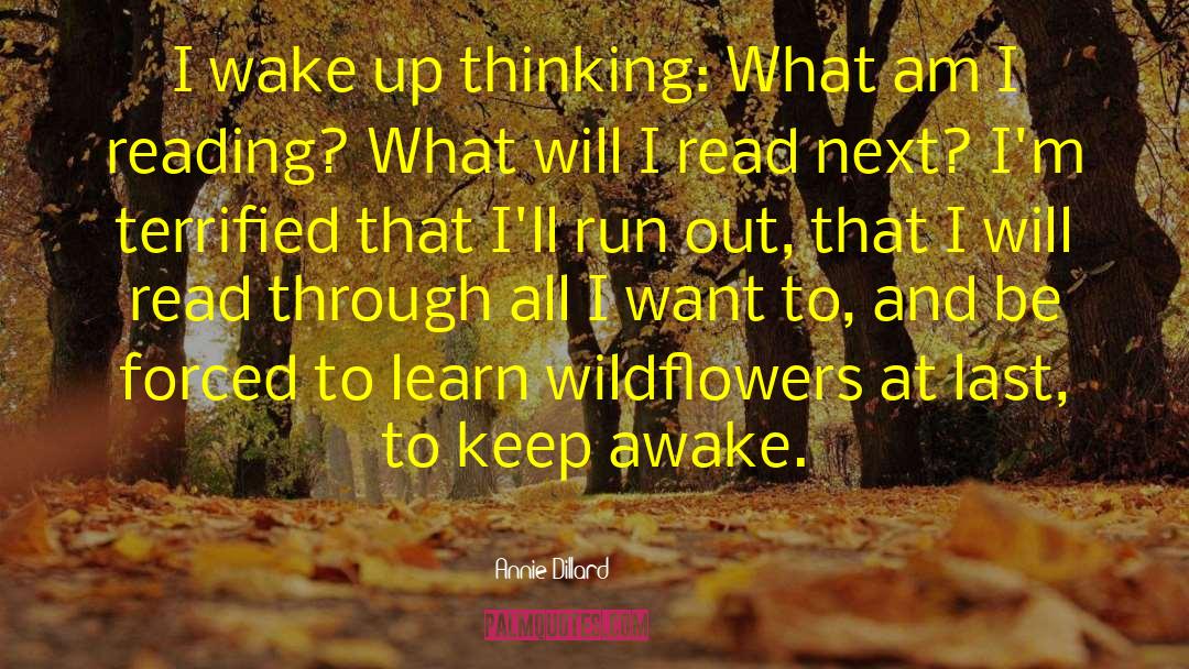Annie Dillard Quotes: I wake up thinking: What