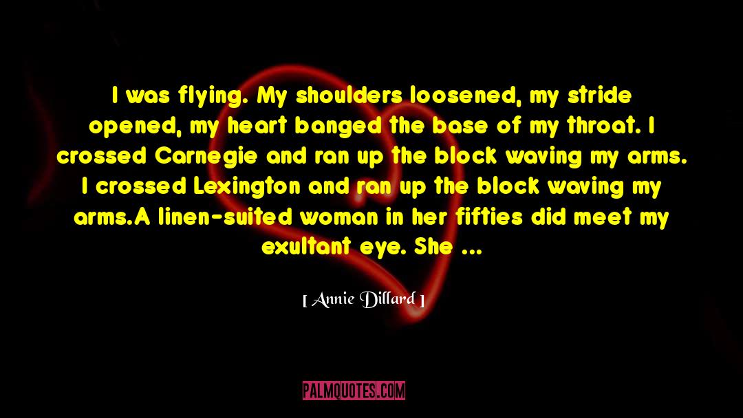 Annie Dillard Quotes: I was flying. My shoulders