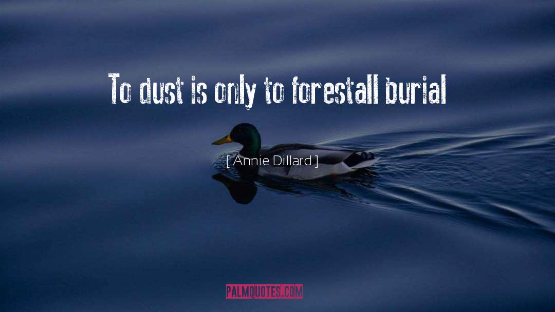 Annie Dillard Quotes: To dust is only to