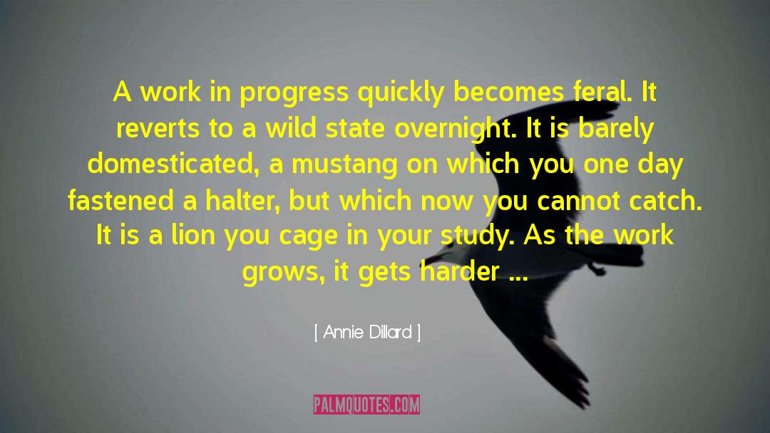 Annie Dillard Quotes: A work in progress quickly