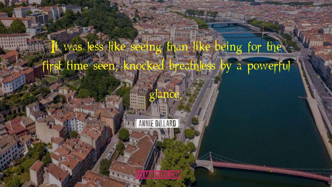 Annie Dillard Quotes: It was less like seeing