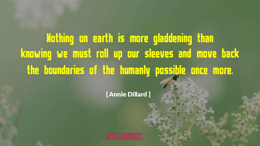Annie Dillard Quotes: Nothing on earth is more