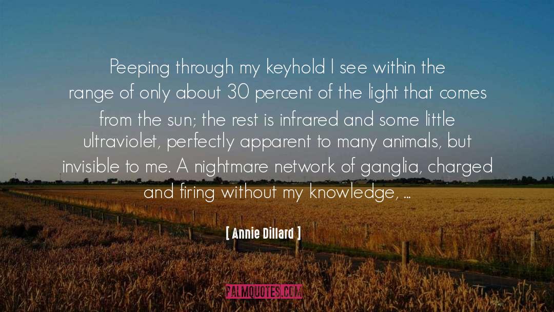 Annie Dillard Quotes: Peeping through my keyhold I