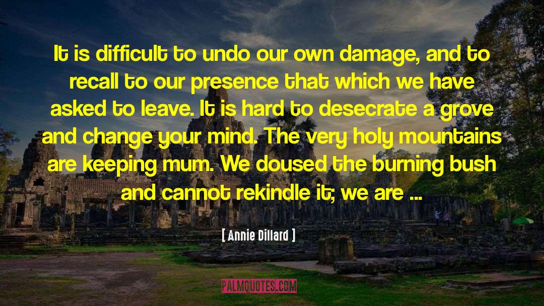 Annie Dillard Quotes: It is difficult to undo