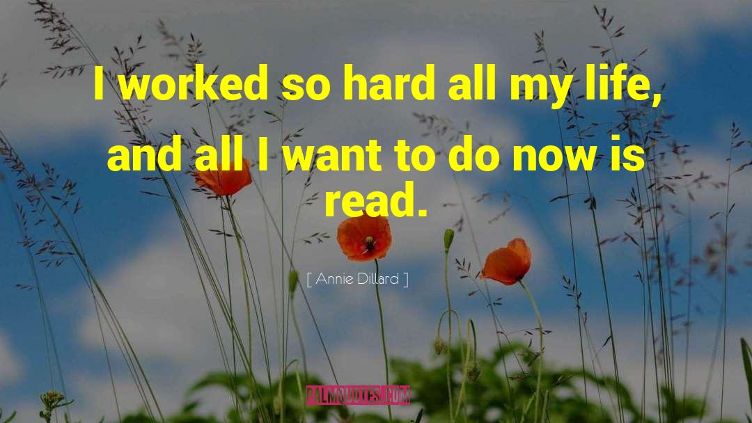 Annie Dillard Quotes: I worked so hard all