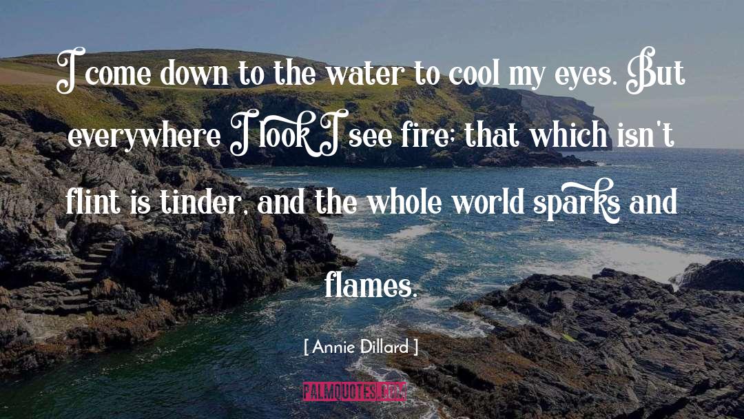 Annie Dillard Quotes: I come down to the