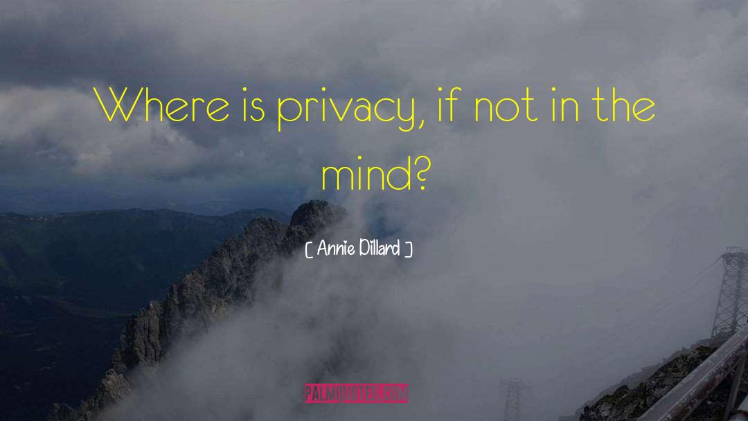 Annie Dillard Quotes: Where is privacy, if not