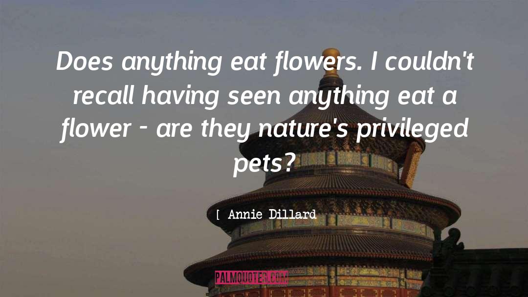 Annie Dillard Quotes: Does anything eat flowers. I