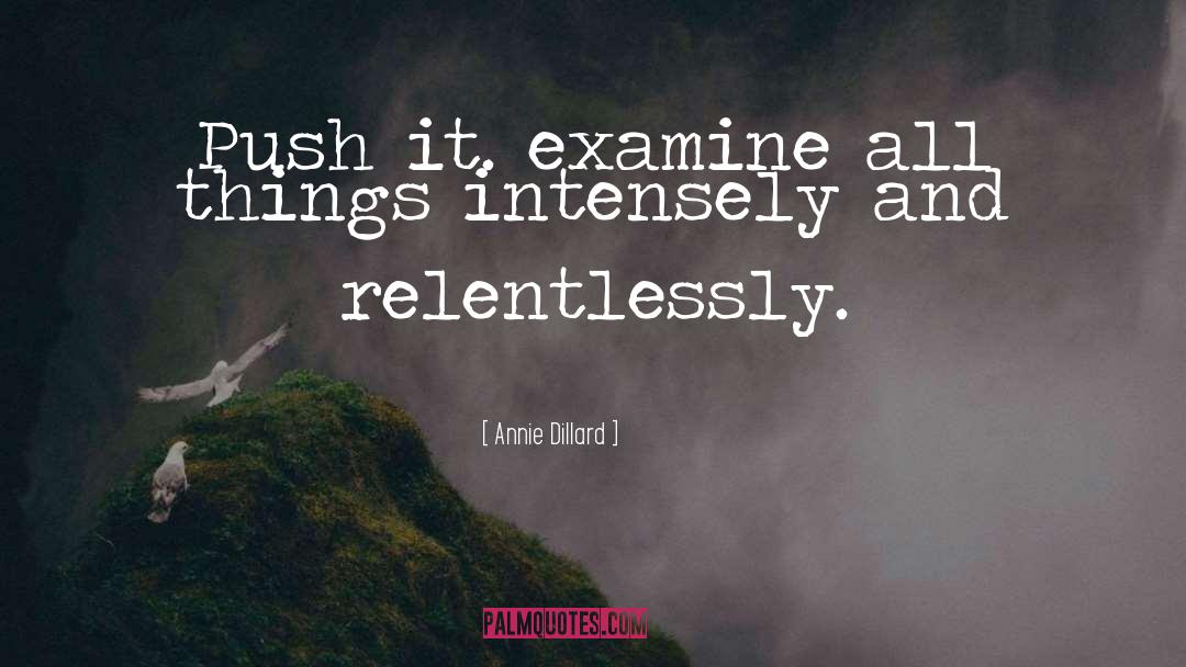 Annie Dillard Quotes: Push it. examine all things